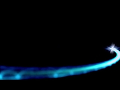 শেনগু প্রোফাইল